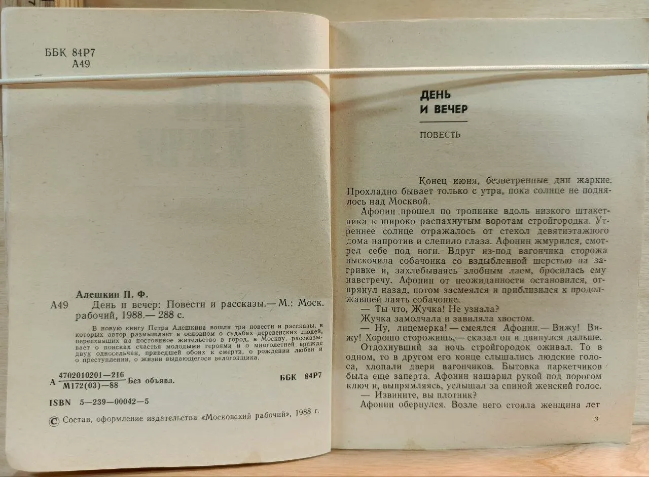 День и вечер фото 3