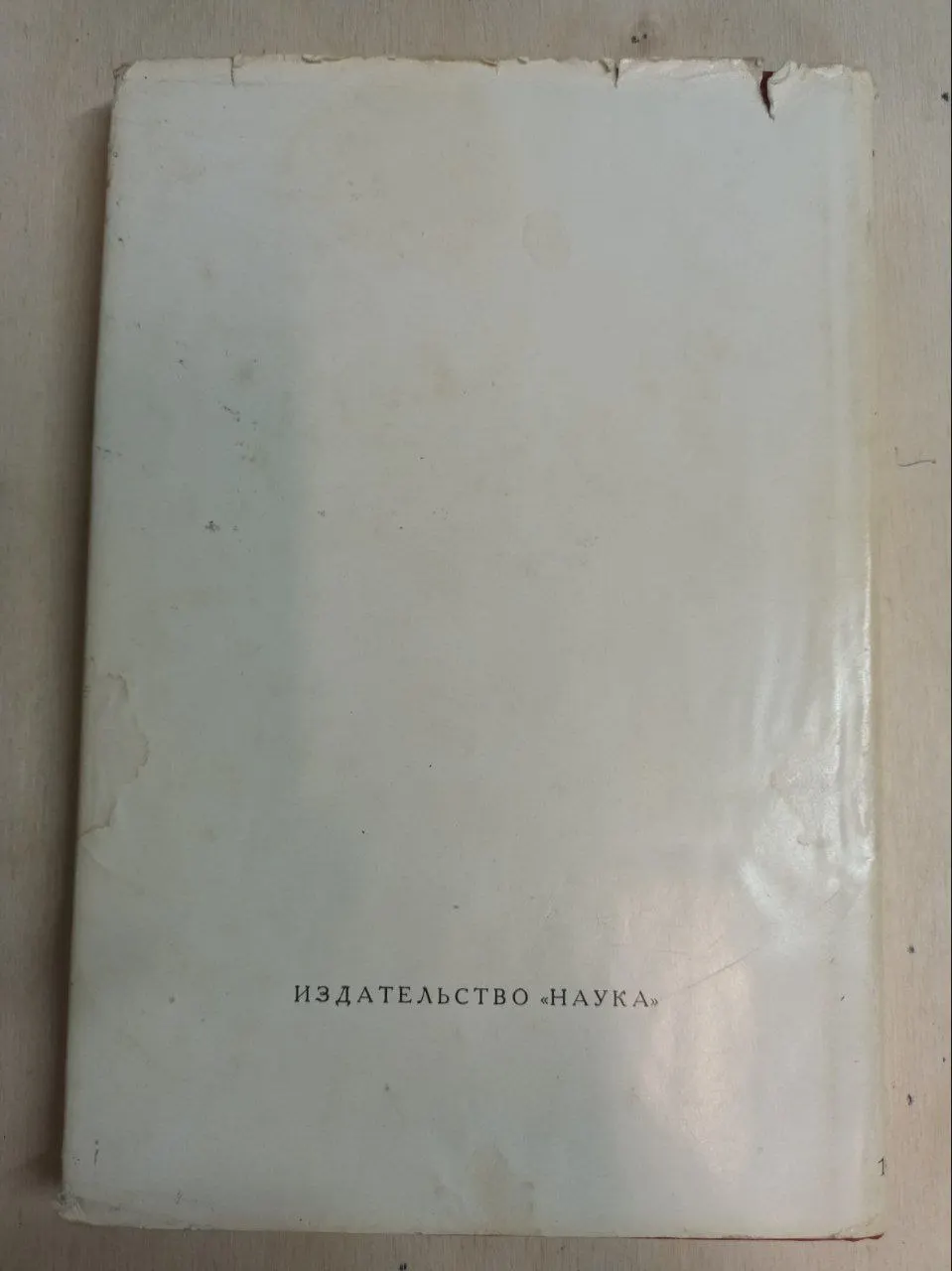 Дантовские чтения фото 2