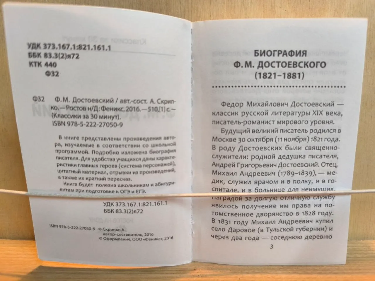 Ф.М. Достоевский. Классики за 30 минут. фото 2