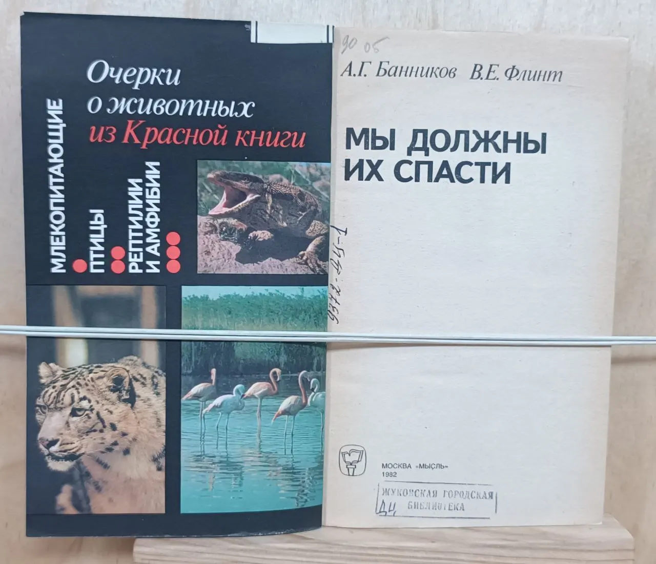 Мы должны их спасти фото 2