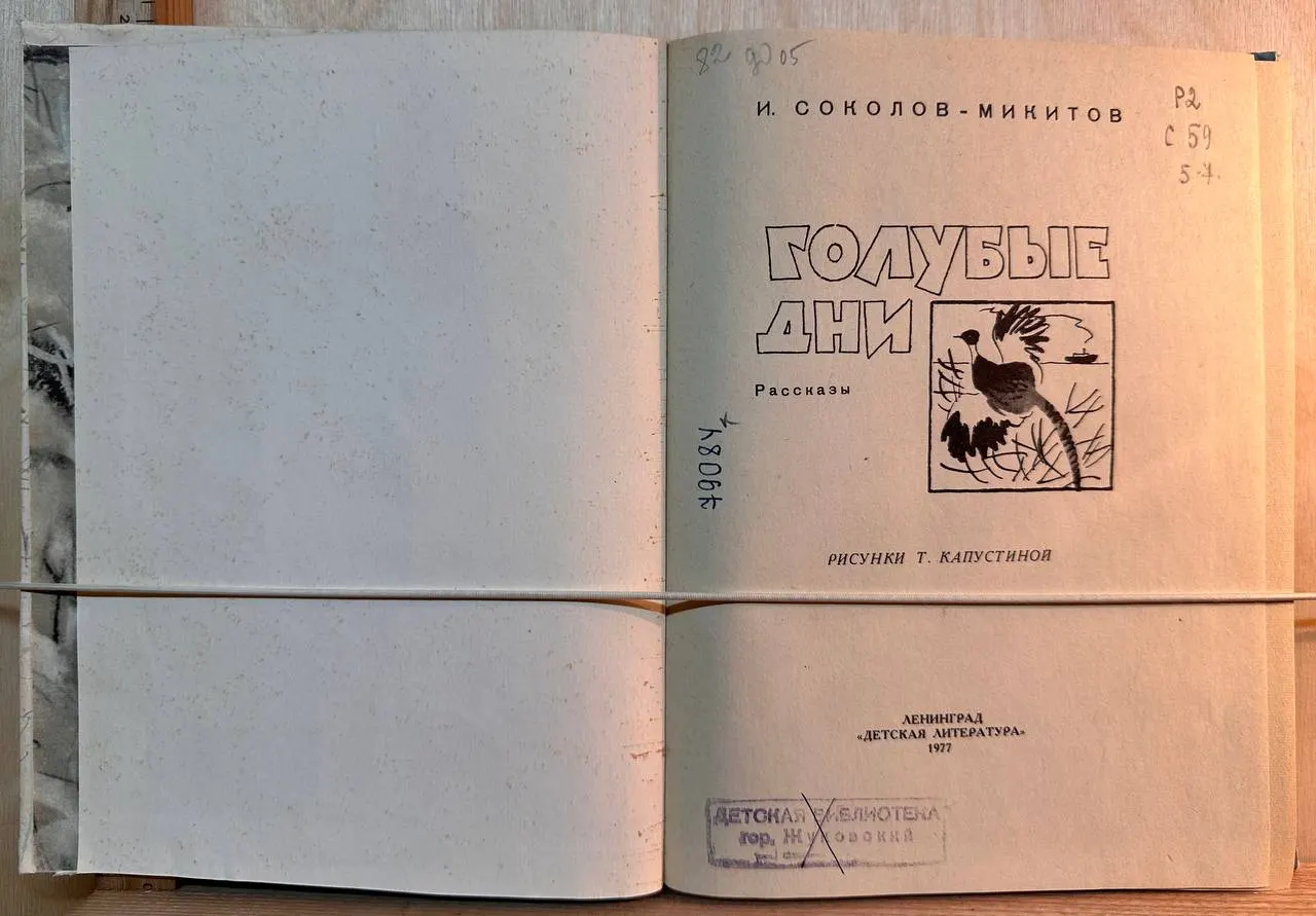 Голубые дни фото 2
