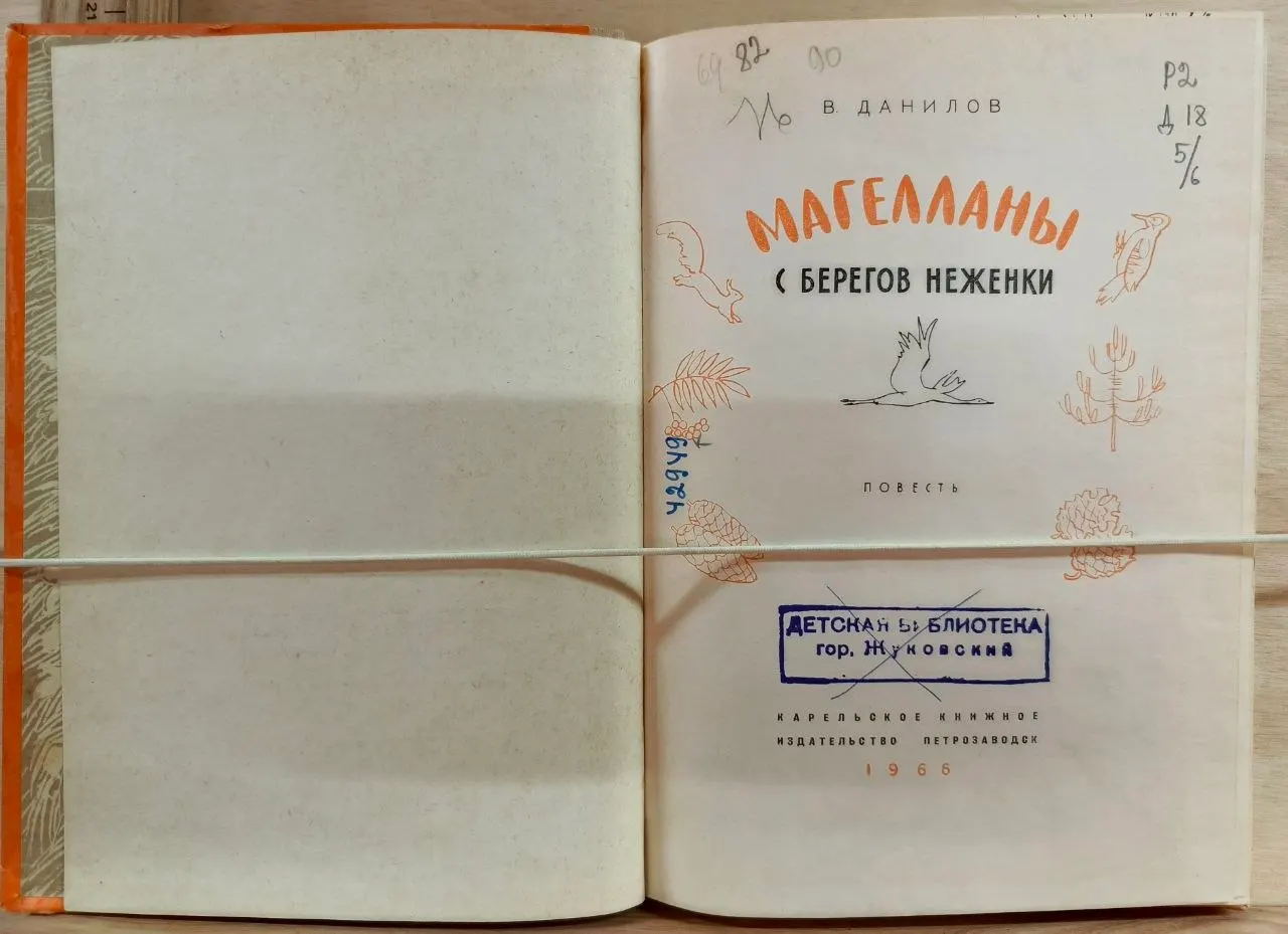 Магелланы с берегов Неженки фото 2