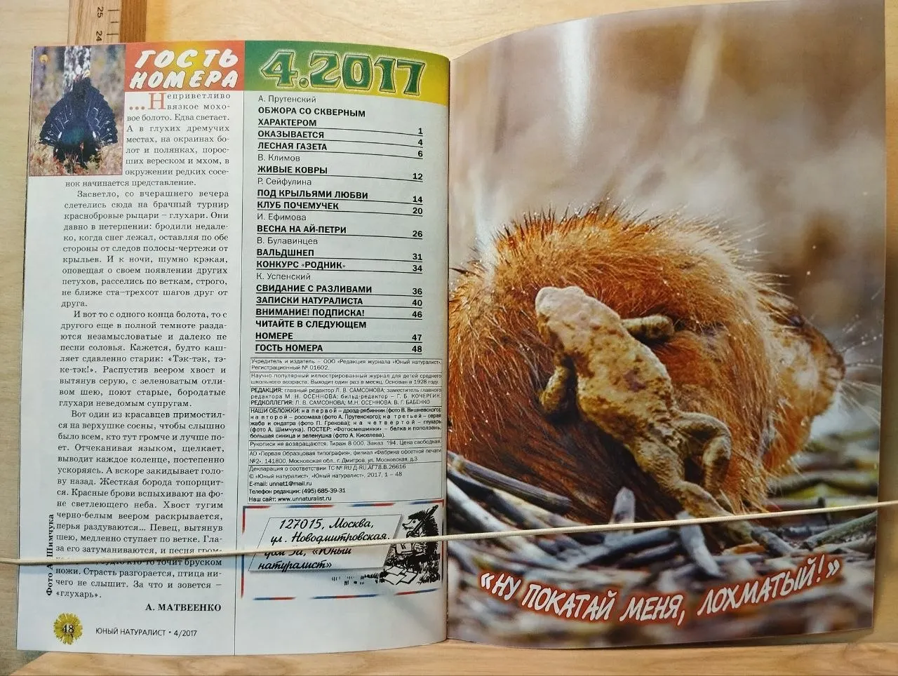Юный натуралист. №4 2017. Под крыльями любви. фото 2