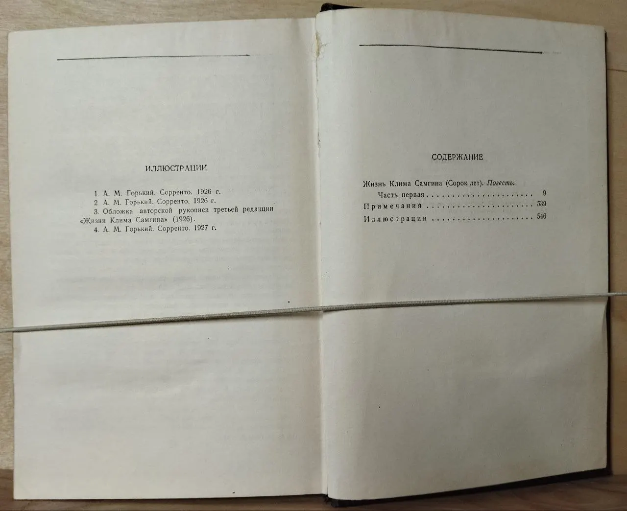 Собрание сочинений в тридцати томах. Том 19. Жизнь Клима Самгина. 1925-1935 фото 3