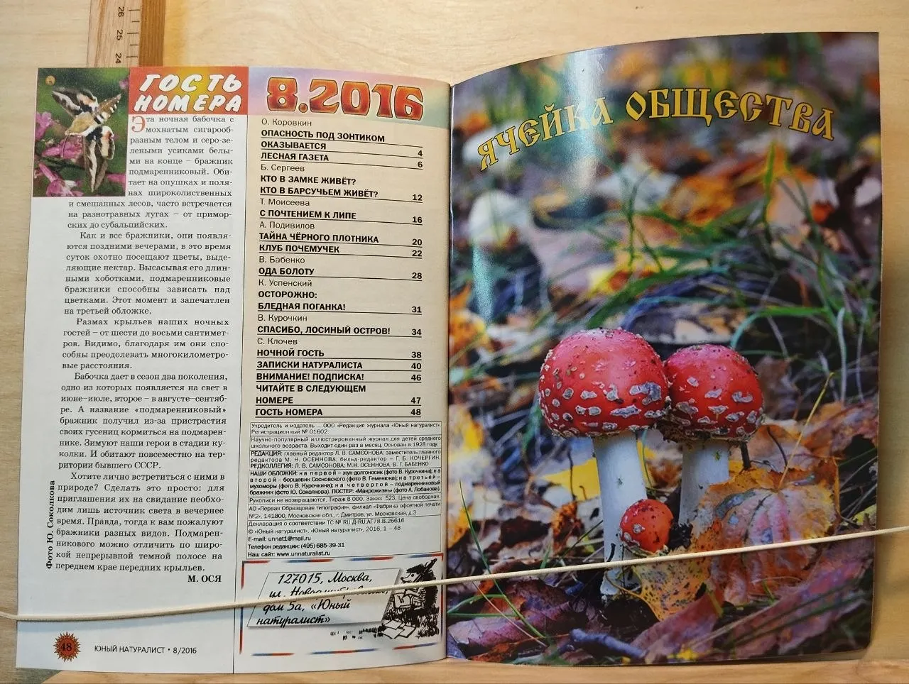 Юный натуралист №8 2016 фото 2