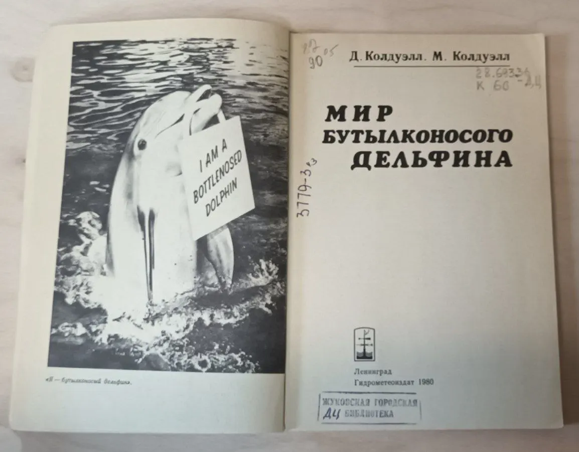 Мир бутылконосого дельфина фото 4