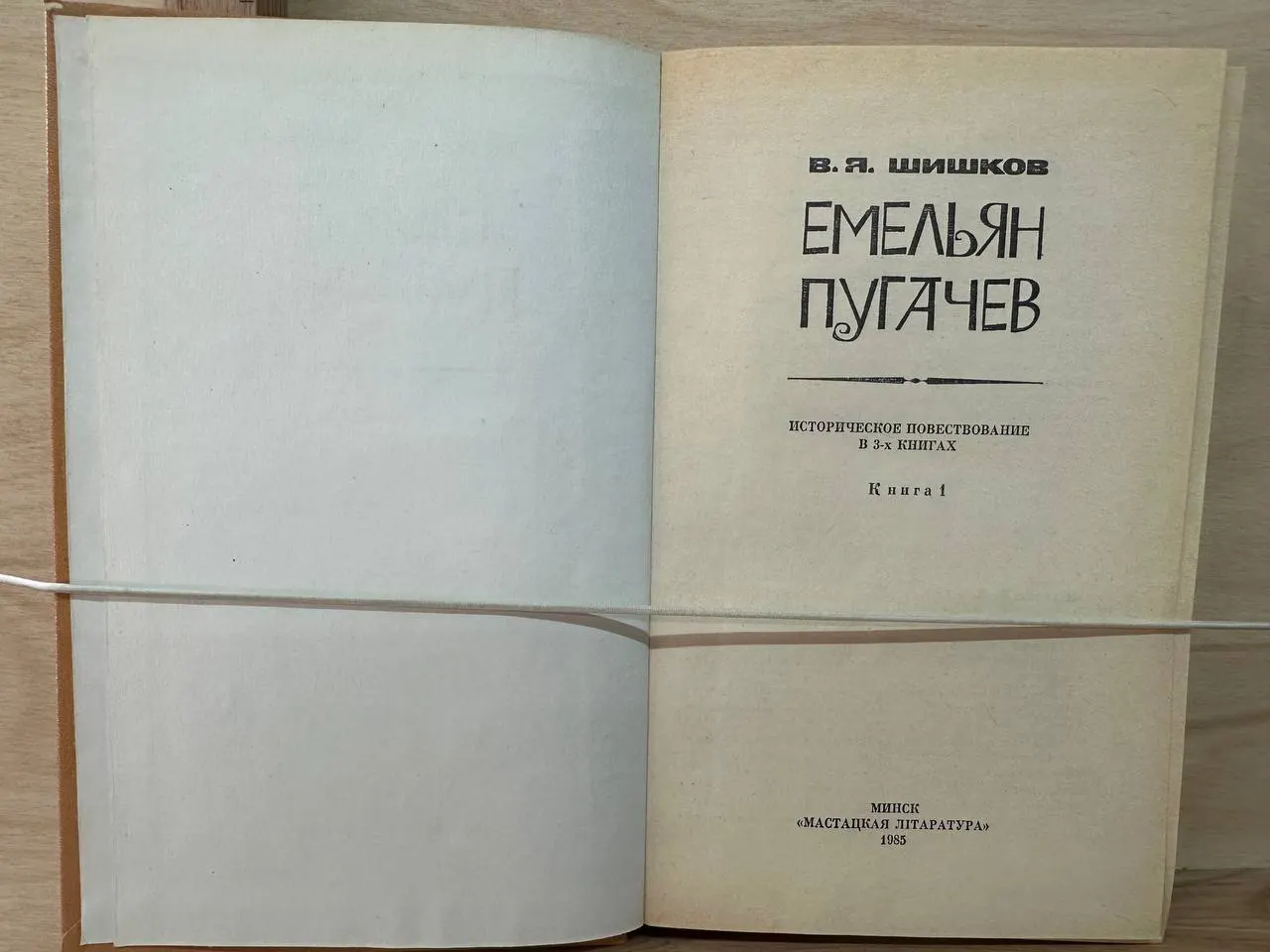 Емельян Пугачев. Книга 1 фото 2