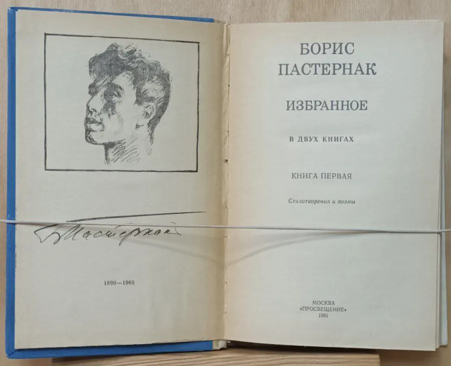 Избранное. В 2 кн. Кн. 1. Стихотворения и поэмы фото 3