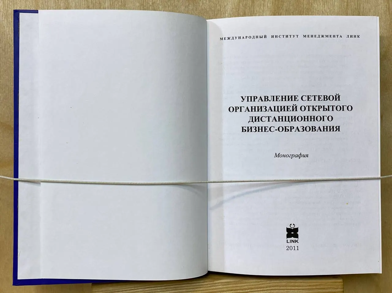 Управление сетевой организацией открытого дистанционного бизнес-образования фото 3