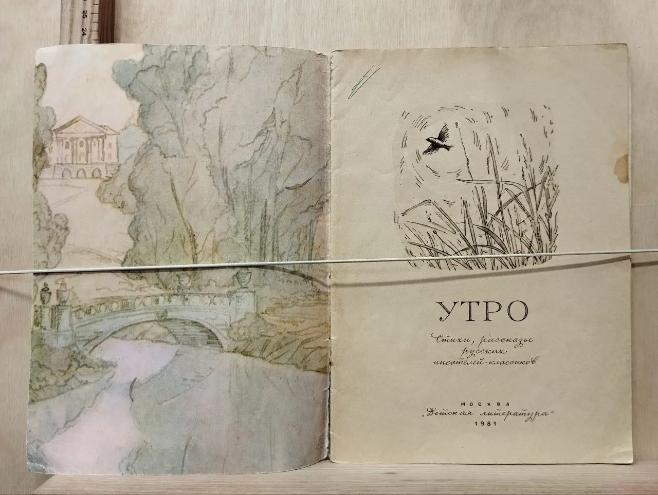 Утро фото 2