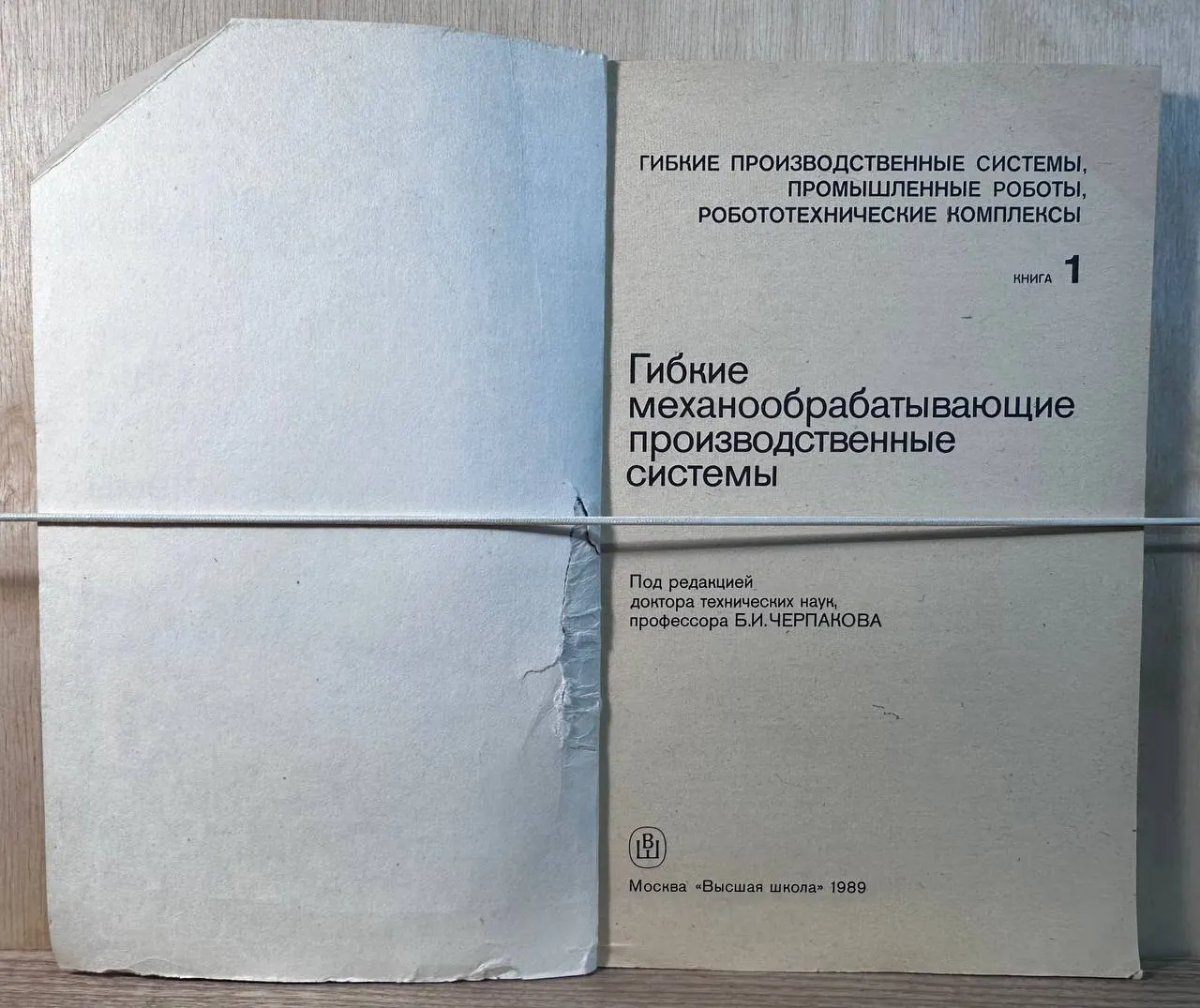 Гибкие механообрабатывающие производственные системы фото 2