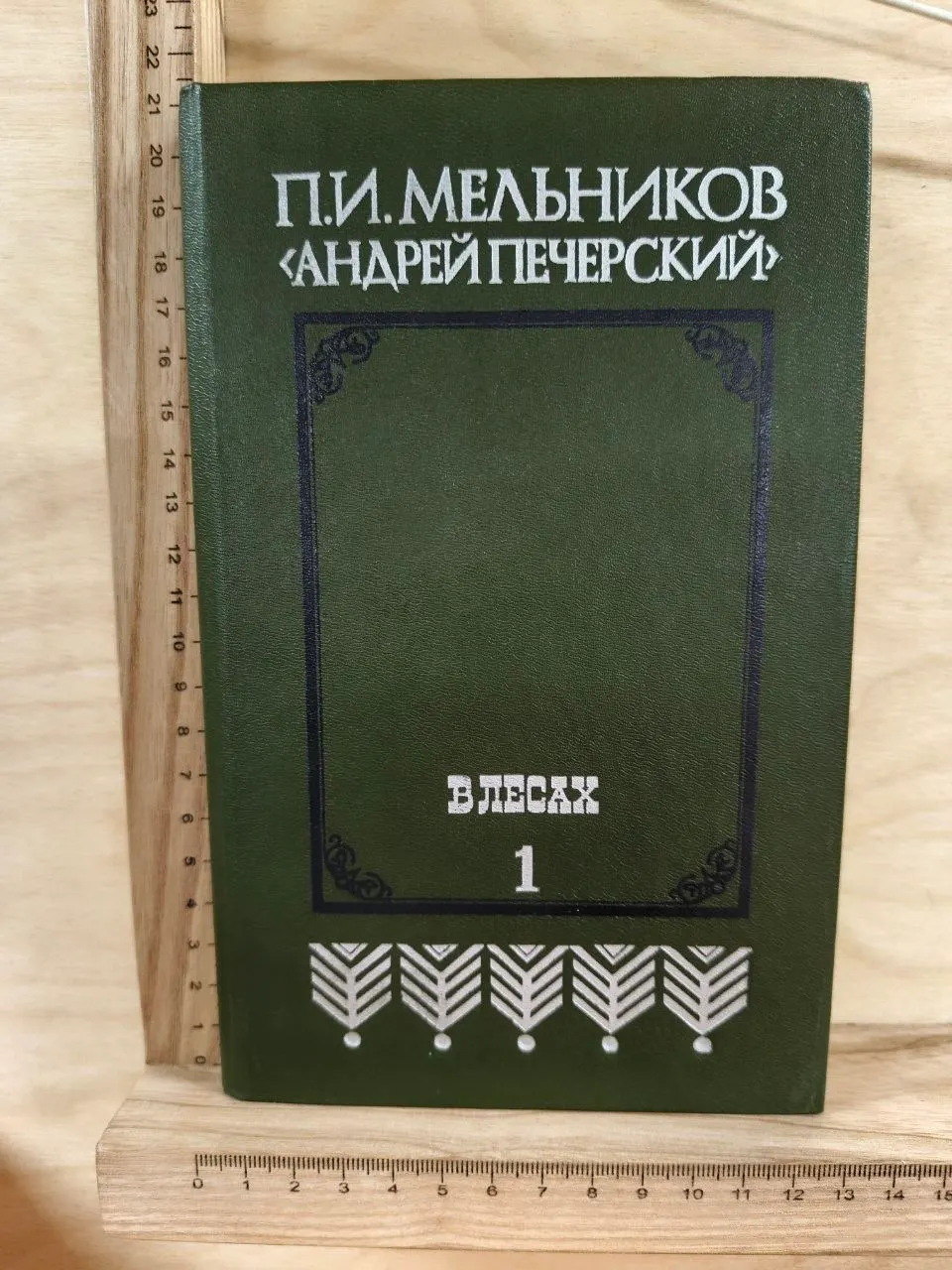 В лесах. Роман в двух книгах. Книга первая