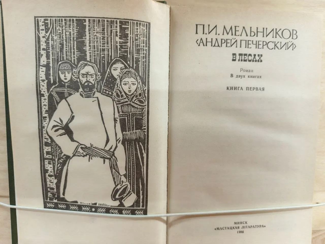 В лесах. Роман в двух книгах. Книга первая фото 2