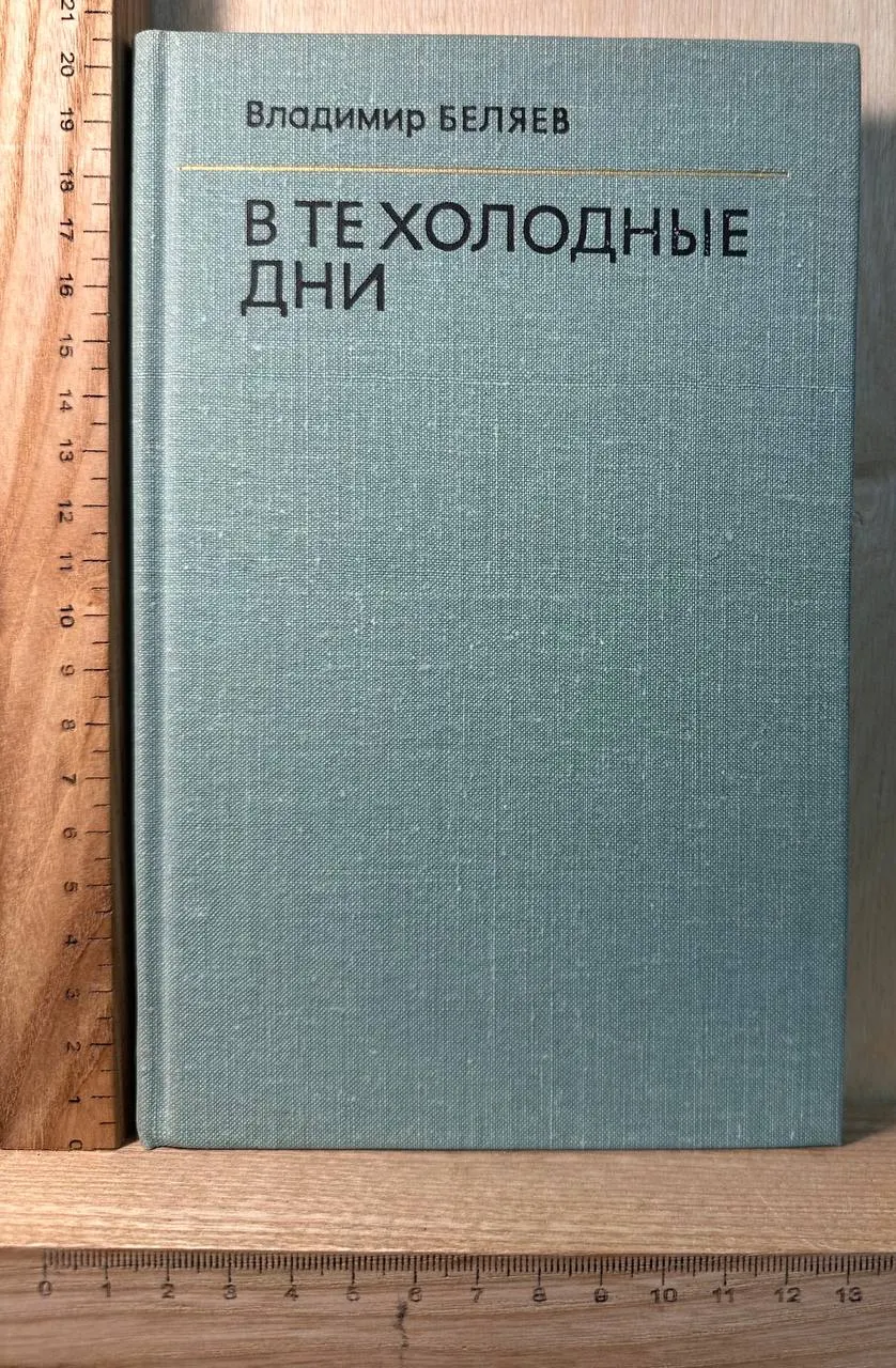В те холодные дни