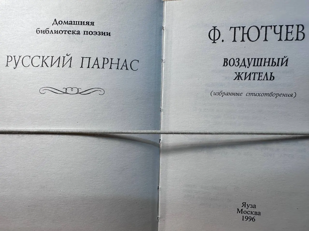 Воздушный житель фото 2