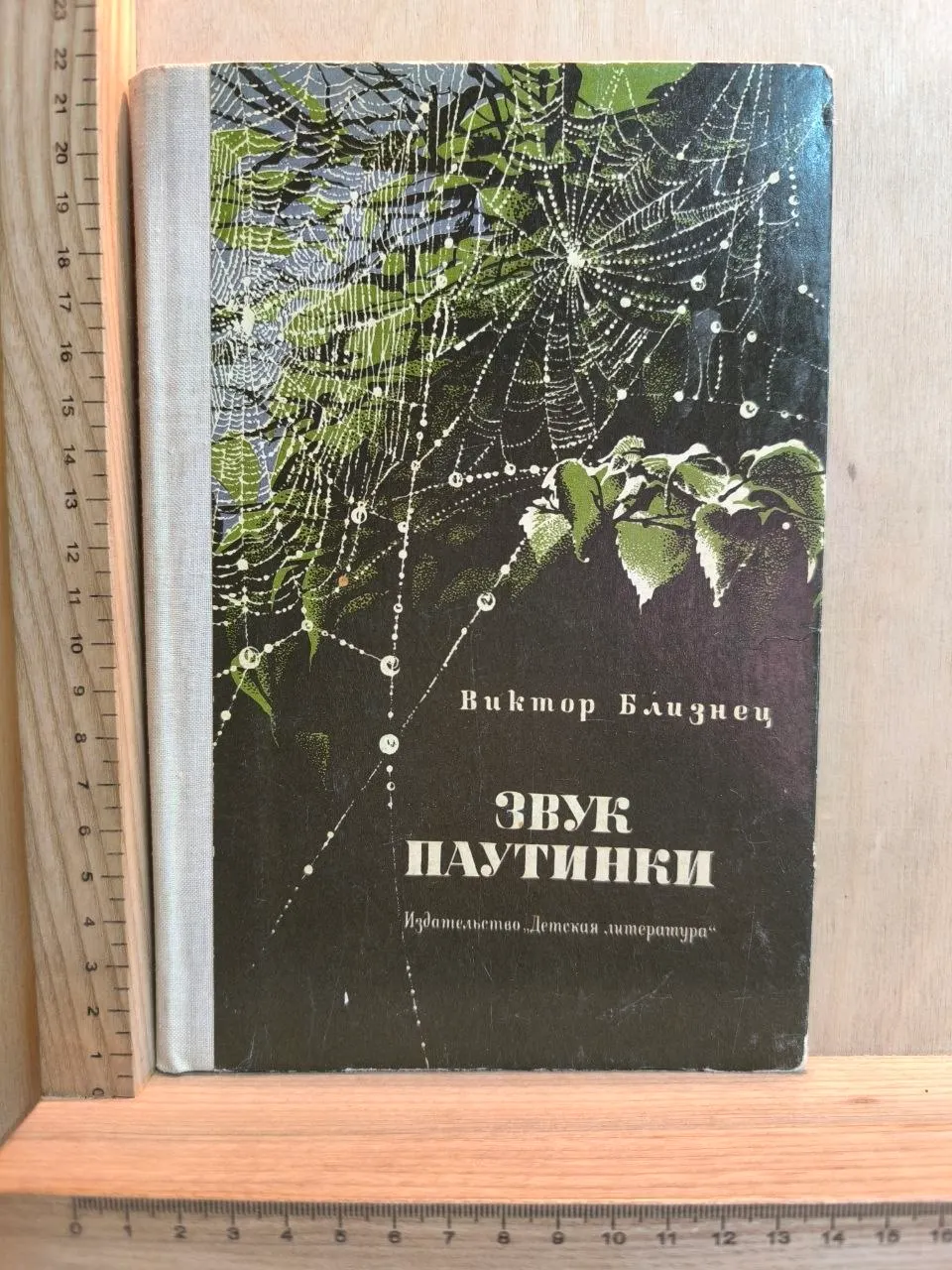 Звук паутинки