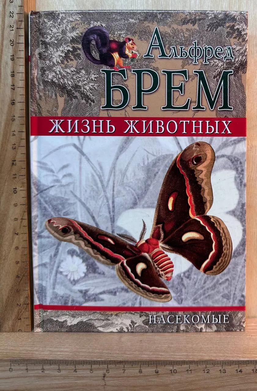 Жизнь животных. Насекомые. Том II
