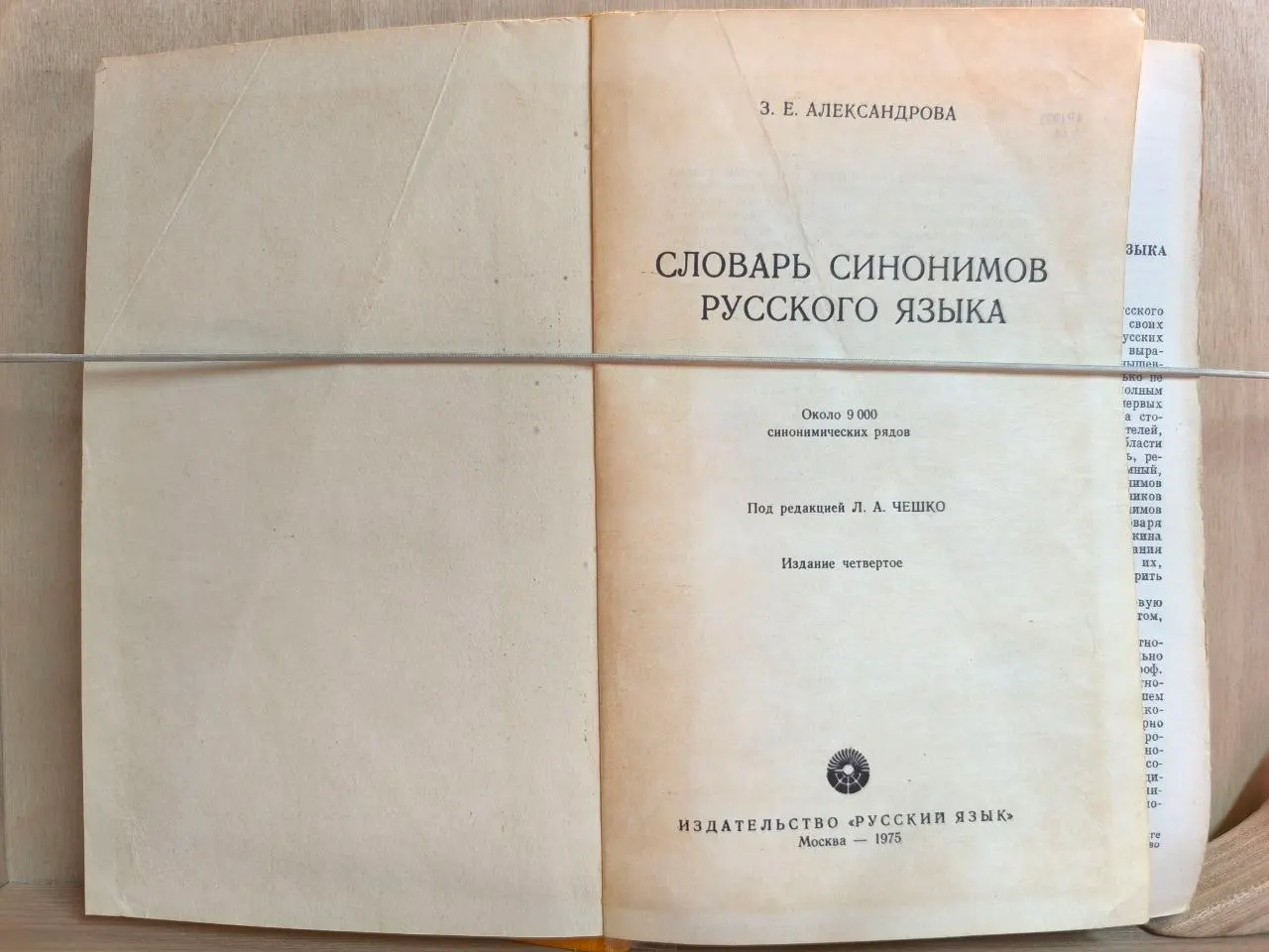 Словарь синонимов русского языка фото 2