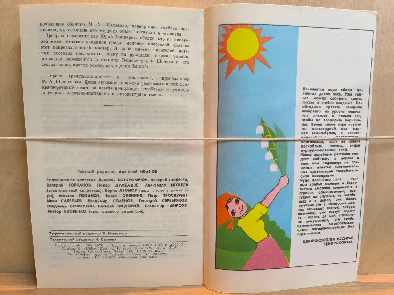Молодая гвардия. 1976. №4 фото 3