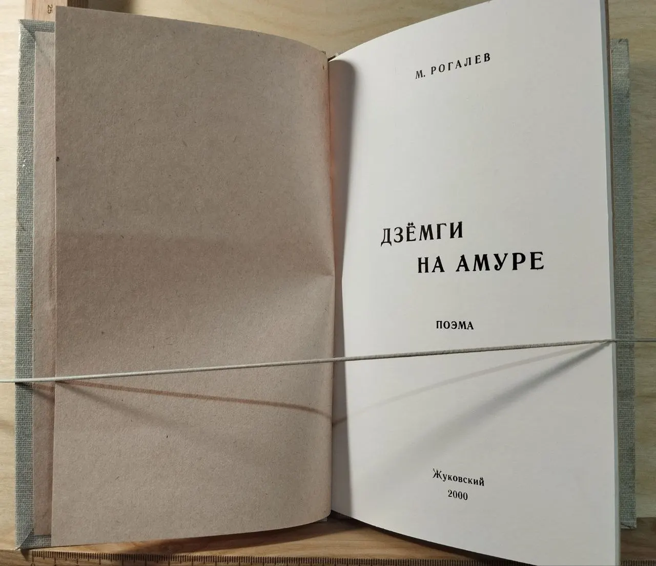 Дзёмги на Амуре: Поэма фото 2