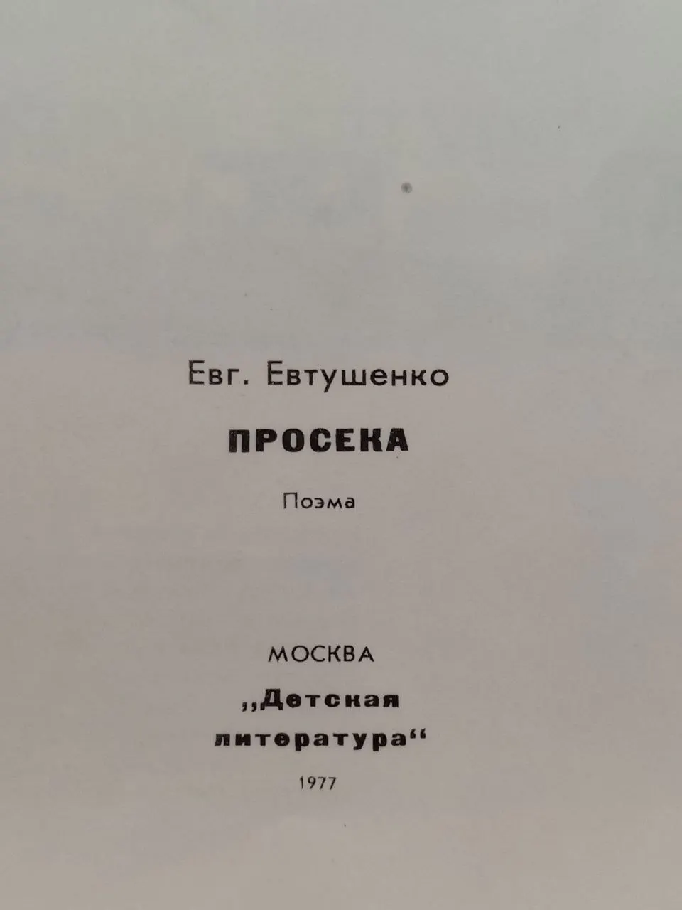 Просека фото 2