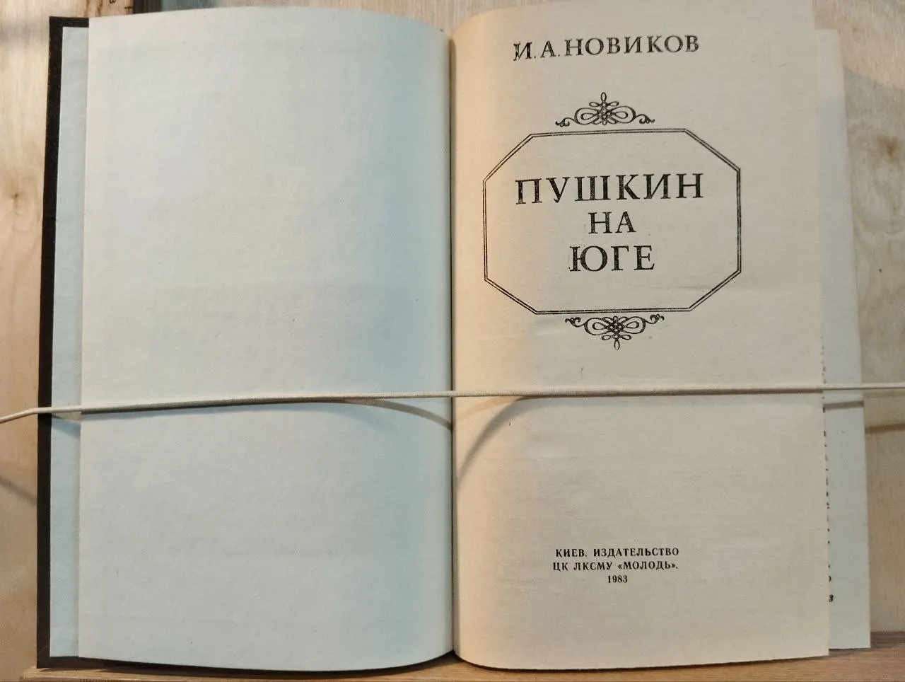 Пушкин на юге фото 2