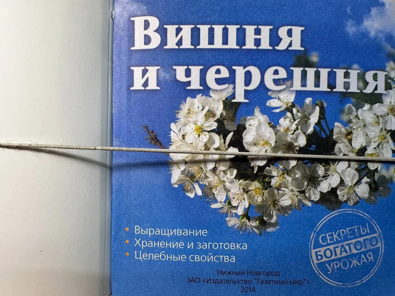 Вишня и черешня фото 2