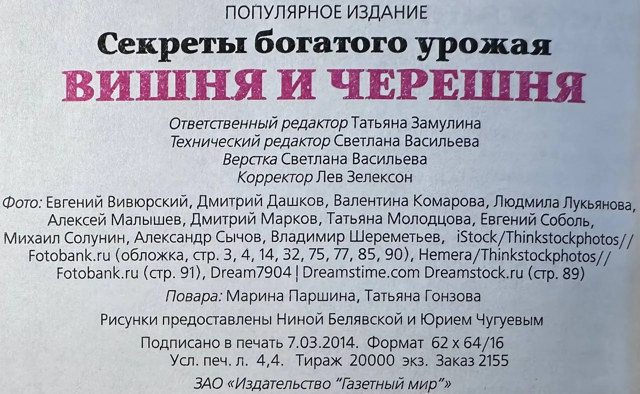 Вишня и черешня фото 4