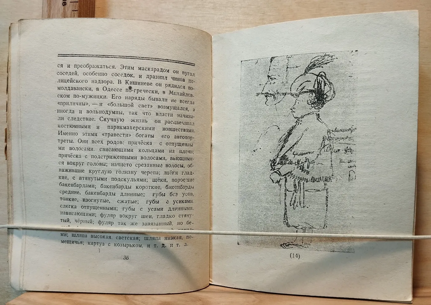 Автопортреты Пушкина: Книга Абрама Эфроса фото 4