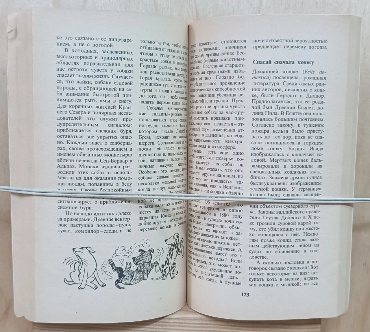 Одна ласточка весны не делает фото 2