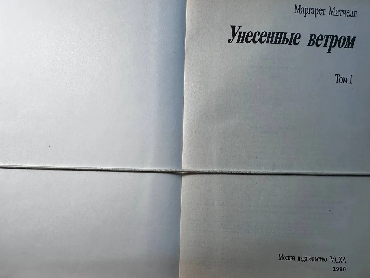 Унесенные ветром фото 2