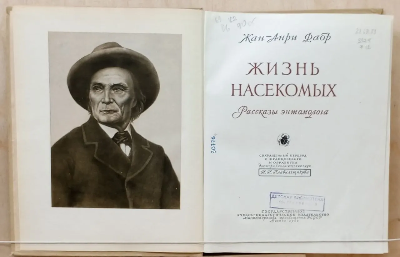Жизнь насекомых (рассказы энтомолога) фото 6
