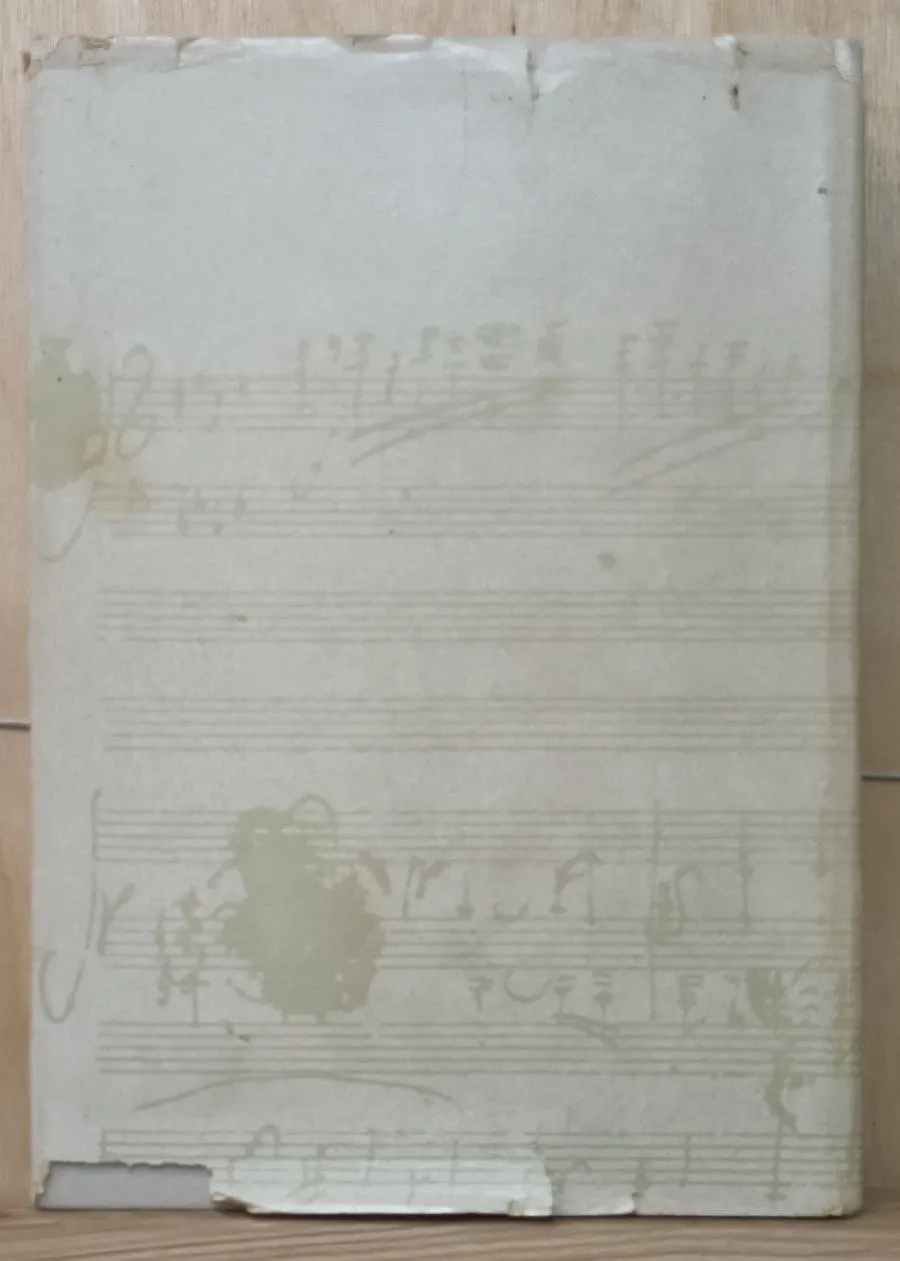Begegnung mit der Unsterblichkeit. Ein Beethovenbuch f r junge Leute фото 2