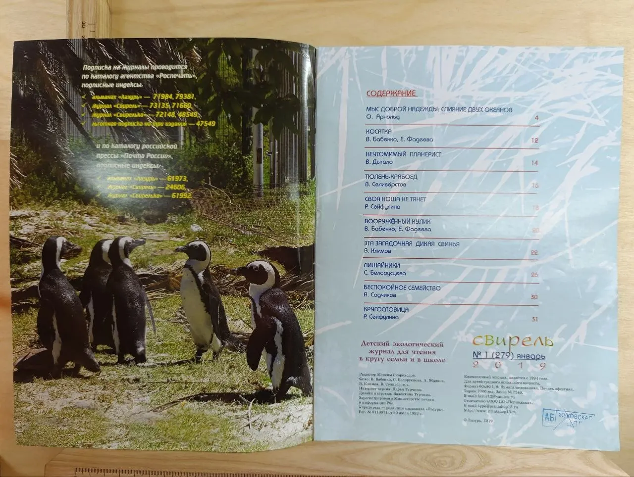 Журнал "Свирель" №1 (279) январь 2019 г. фото 2