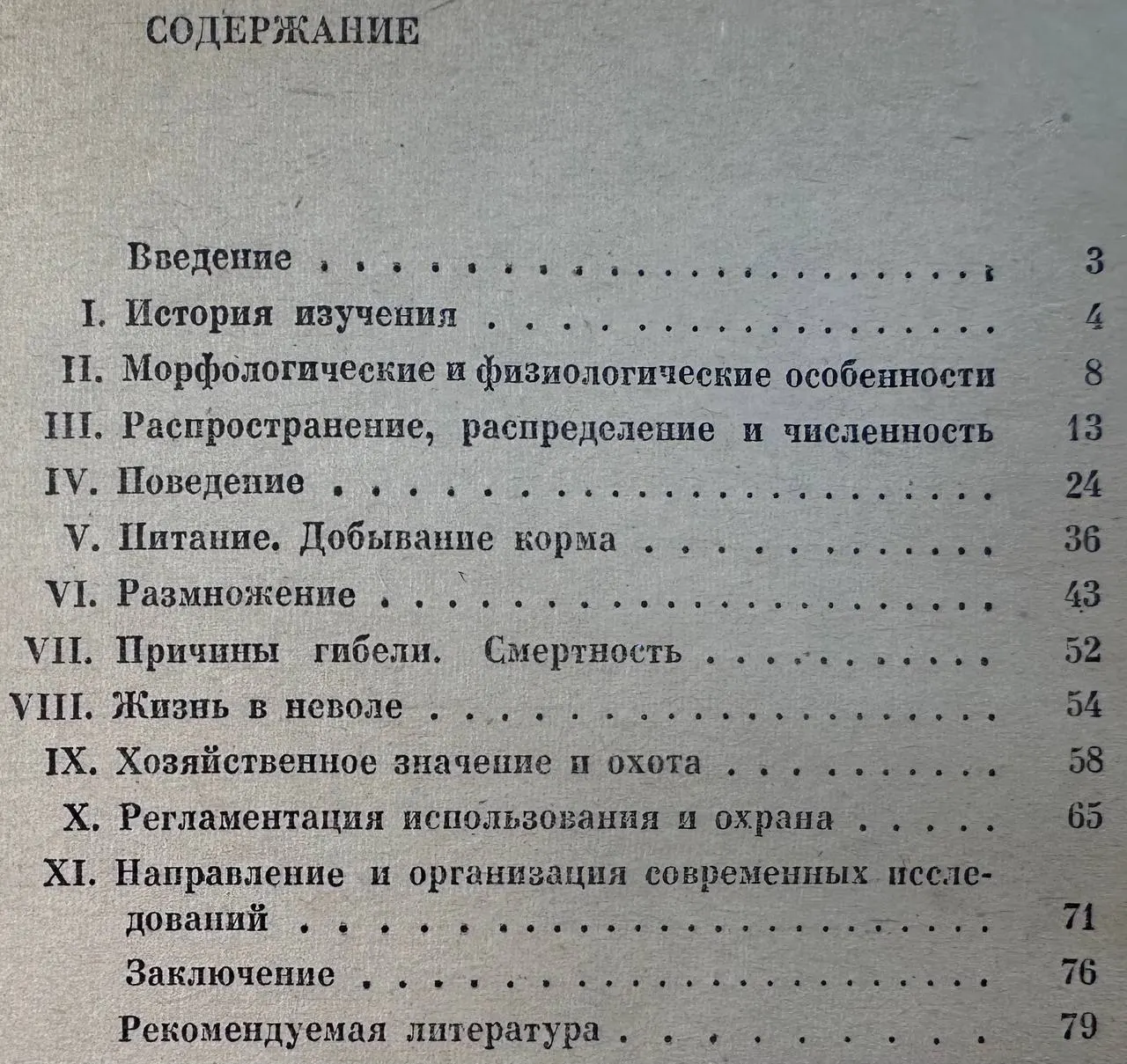 Белый медведь фото 3