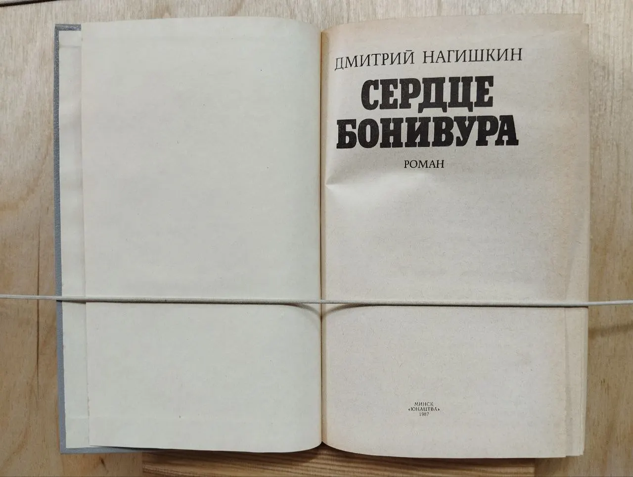 Сердце Бонивура фото 3