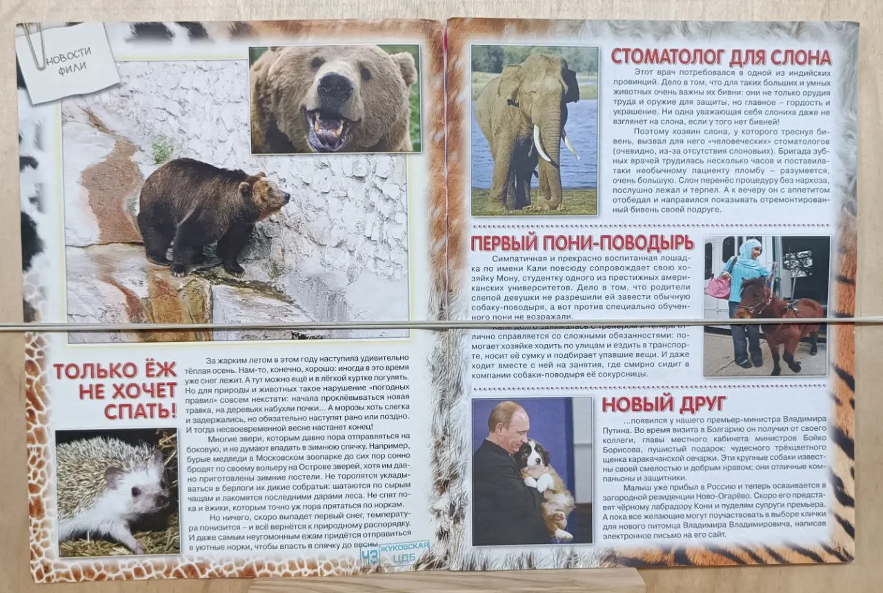 Журнал о природе для детей "Филя" выпуск № 12/2010 фото 2
