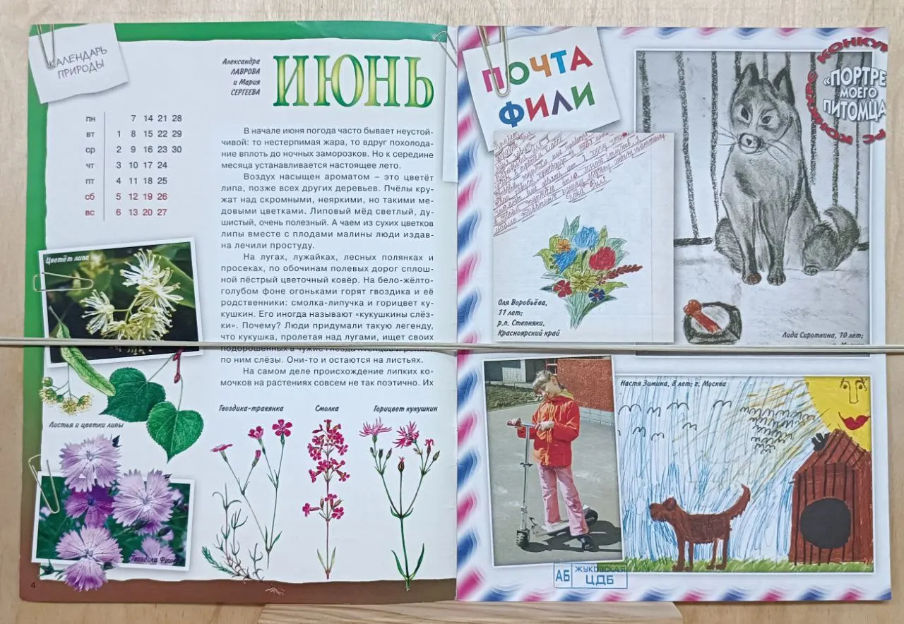 Журнал о природе для детей "Филя" выпуск № 6/2010 фото 2