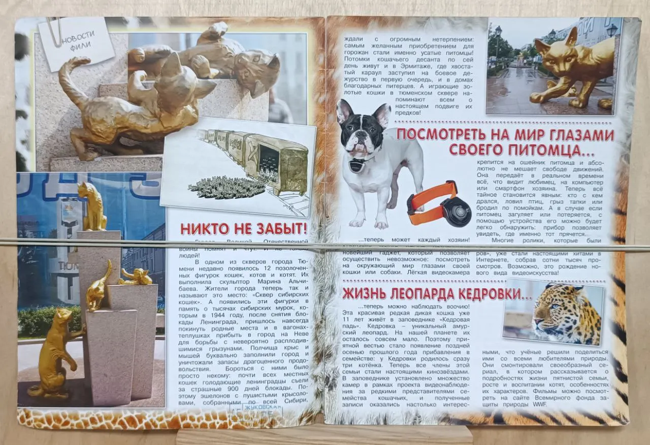Журнал о природе для детей "Филя" выпуск № 1/2014 фото 2