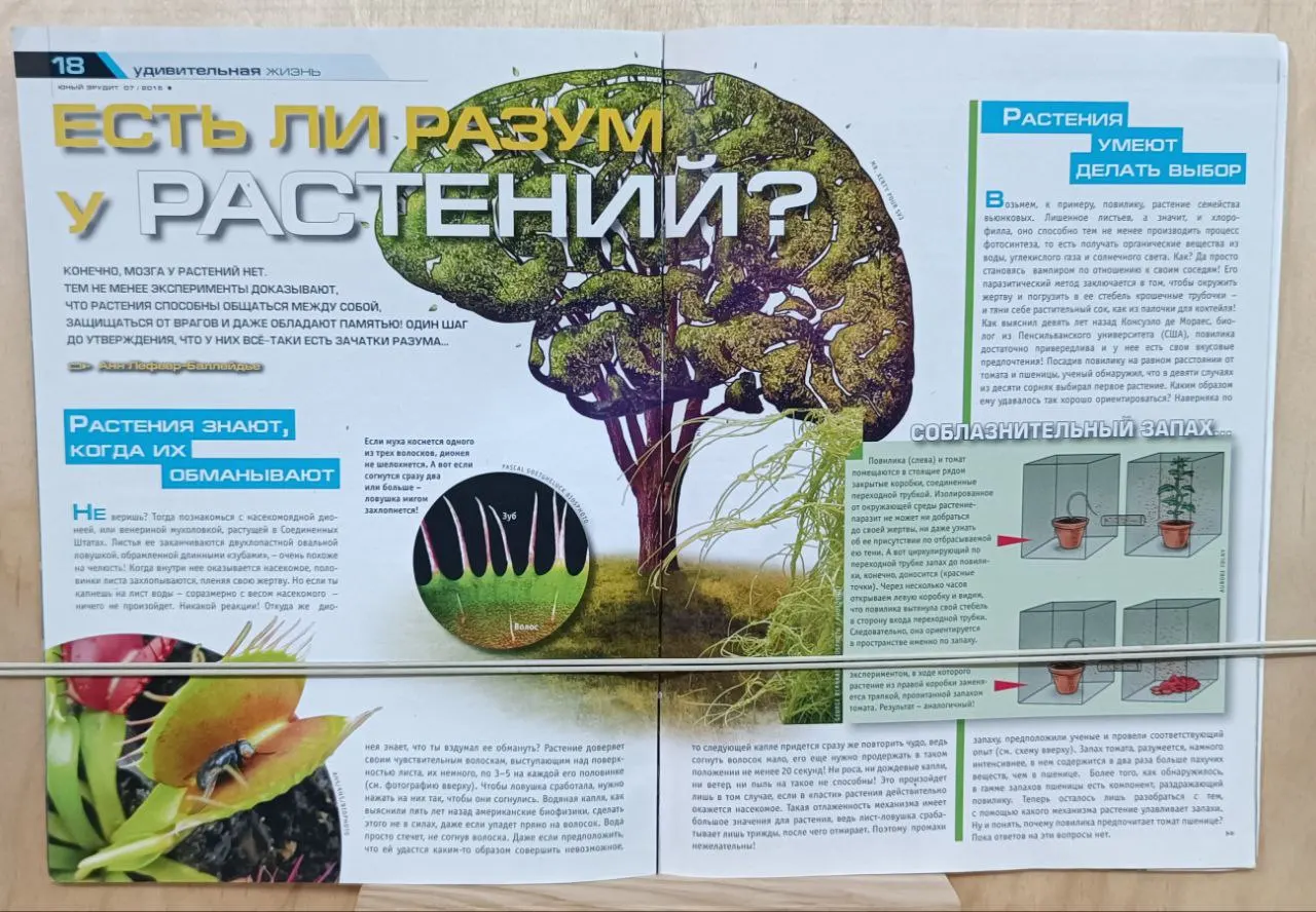 Юный эрудит № 7/2015 фото 3