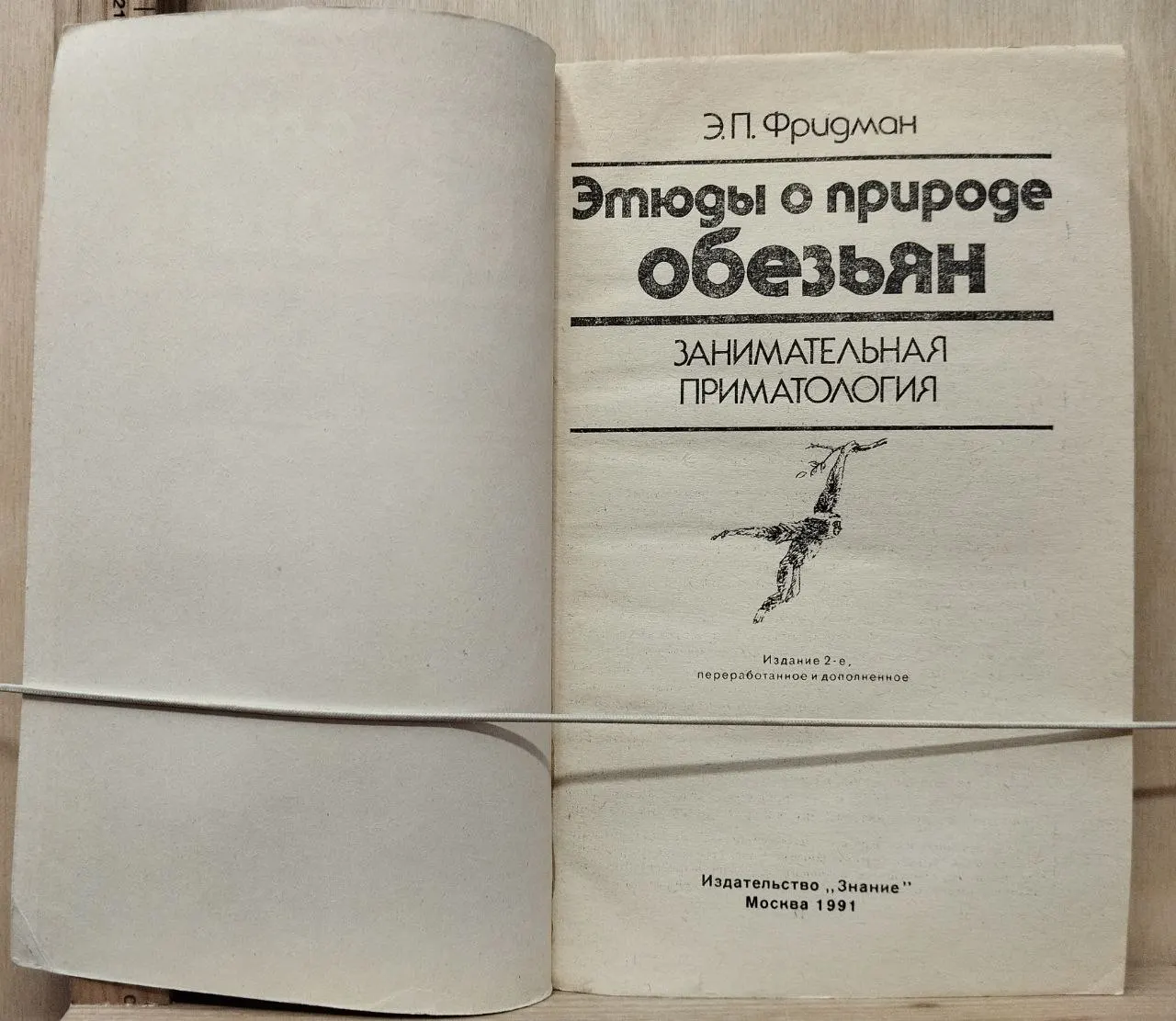 Этюды о природе обезьян фото 2