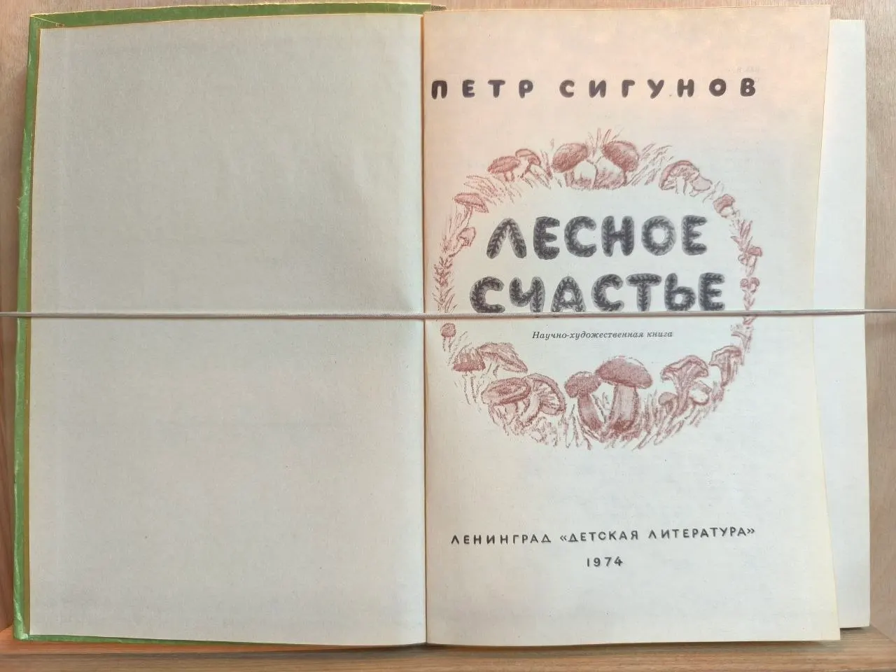 Лесное счастье фото 2