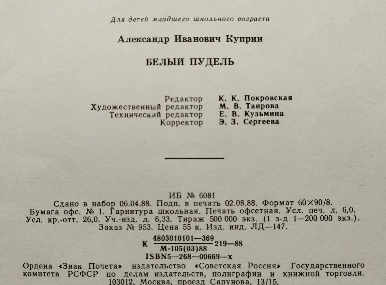 Белый пудель фото 5