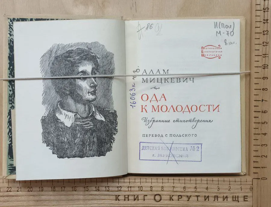 Ода к молодости. Избранные стихотворения фото 3