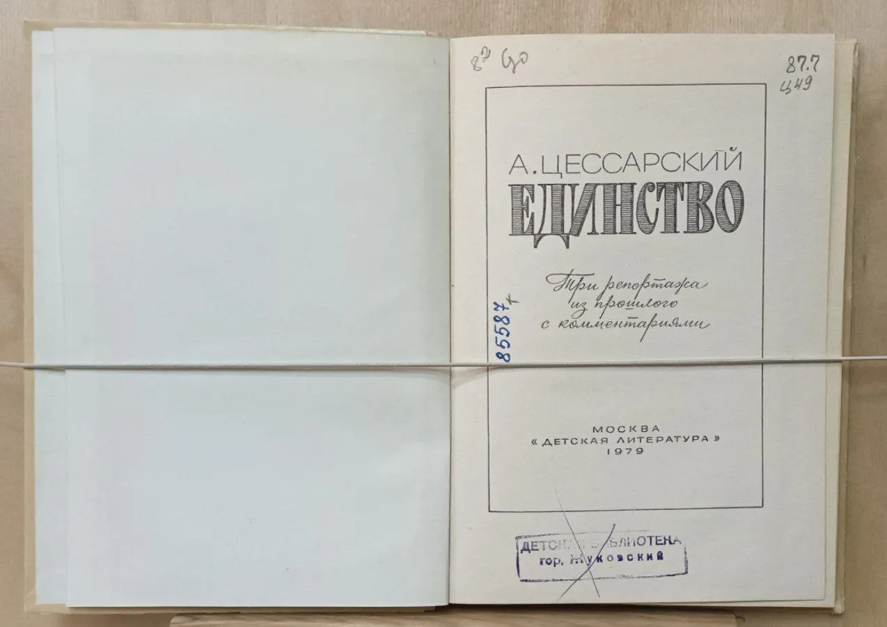 Единство. Три репортажа из прошлого с комментариями фото 3