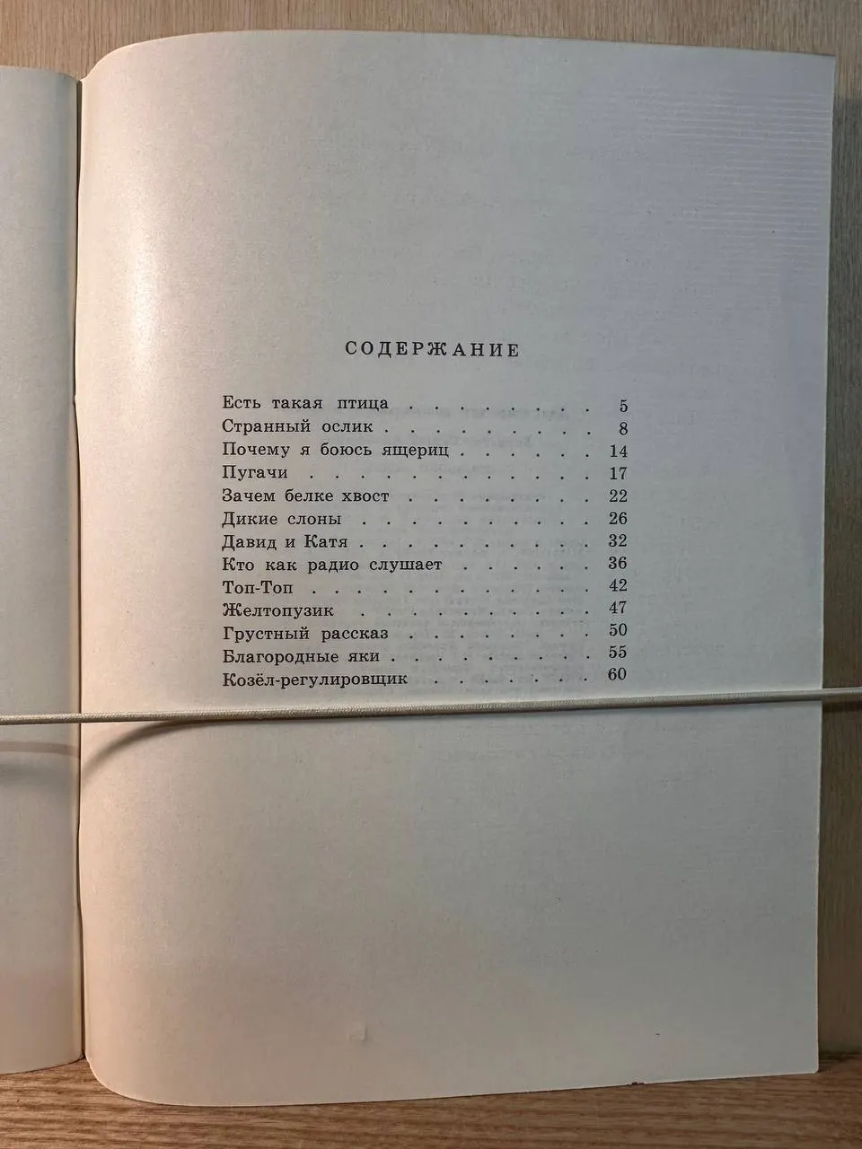 Странный ослик фото 3